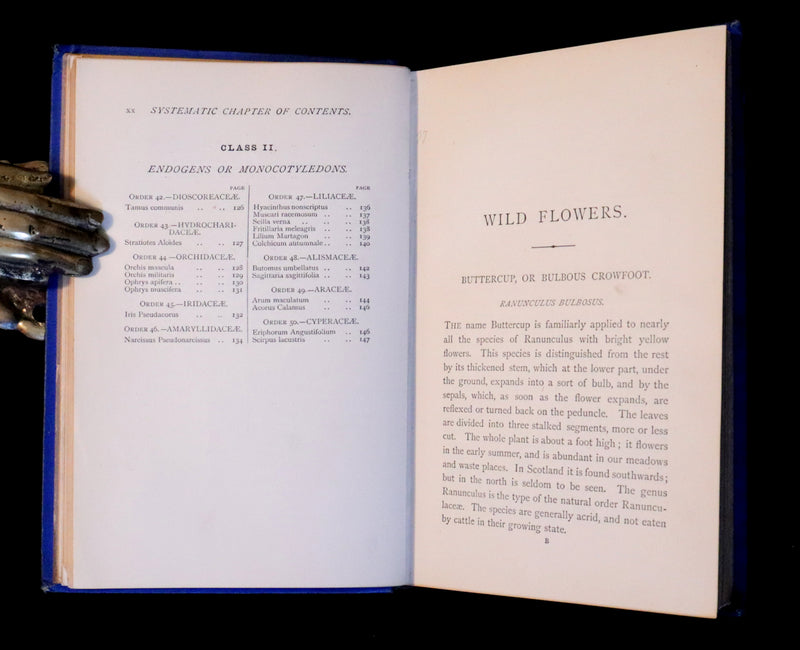 1879 Rare Victorian Book ~ WILD FLOWERS Worth Notice by British Botanist Phoebe Lankester. Color Illustrated.