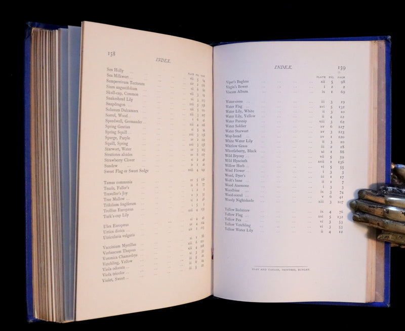 1879 Rare Victorian Book ~ WILD FLOWERS Worth Notice by British Botanist Phoebe Lankester. Color Illustrated.