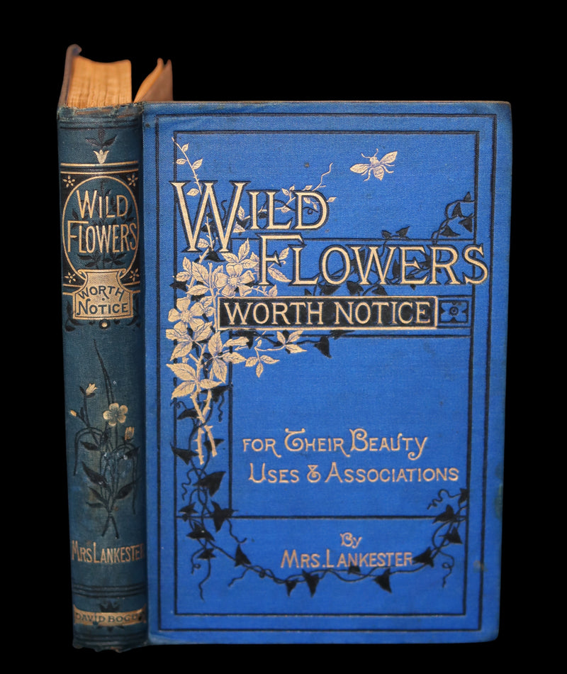1879 Rare Victorian Book ~ WILD FLOWERS Worth Notice by British Botanist Phoebe Lankester. Color Illustrated.