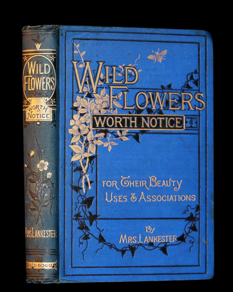 1879 Rare Victorian Book ~ WILD FLOWERS Worth Notice by British Botanist Phoebe Lankester. Color Illustrated.