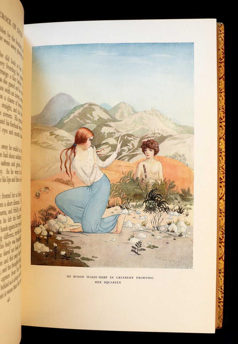 1926 Rare Book bound by Bayntun - The Crock of Gold by James Stephen & illustrated by Thomas Mackenzie.