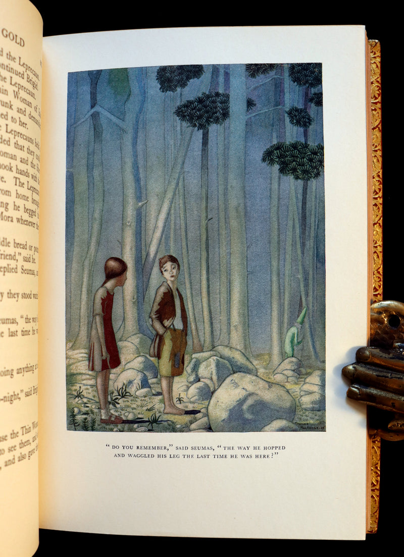 1926 Rare Book bound by Bayntun - The Crock of Gold by James Stephen & illustrated by Thomas Mackenzie.