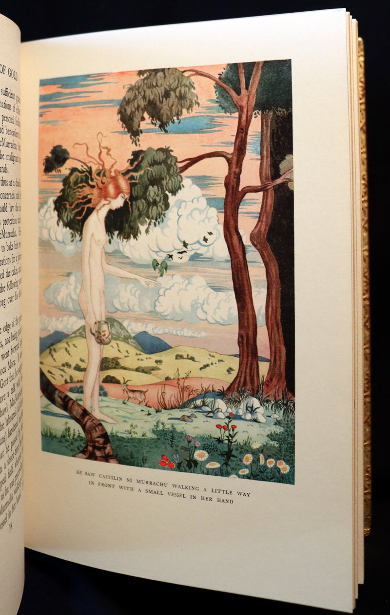 1926 Rare Book bound by Bayntun - The Crock of Gold by James Stephen & illustrated by Thomas Mackenzie.