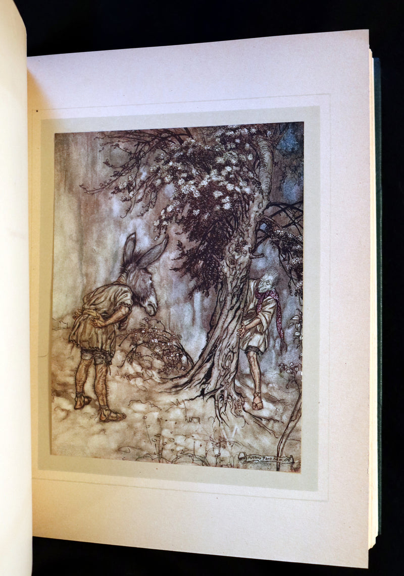 1908 Rare Book - Shakespeare's Midsummer Night's Dream. First Edition illustrated by Rackham.