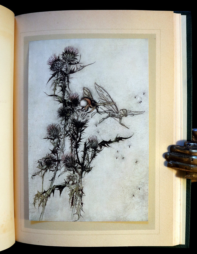 1908 Rare Book - Shakespeare's Midsummer Night's Dream. First Edition illustrated by Rackham.