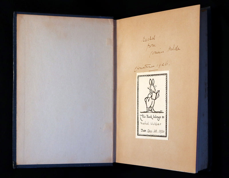 1911 Rare Book - AT THE BACK OF THE NORTH WIND by George MacDonald & Illustrated by Frank C. Pape.