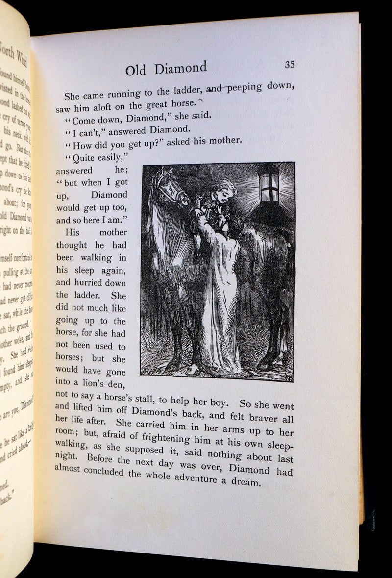 1911 Rare Book - AT THE BACK OF THE NORTH WIND by George MacDonald & Illustrated by Frank C. Pape.