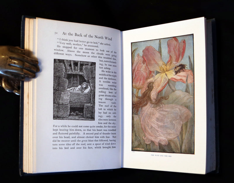 1911 Rare Book - AT THE BACK OF THE NORTH WIND by George MacDonald & Illustrated by Frank C. Pape.