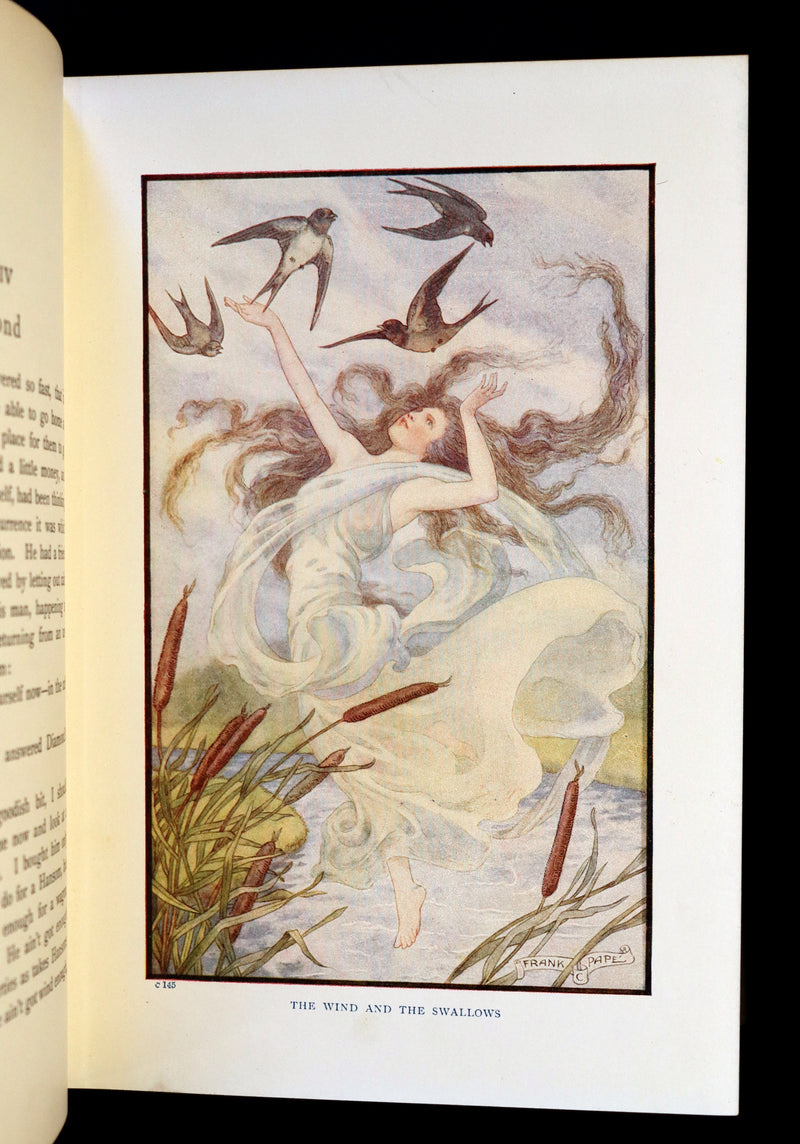 1911 Rare Book - AT THE BACK OF THE NORTH WIND by George MacDonald & Illustrated by Frank C. Pape.