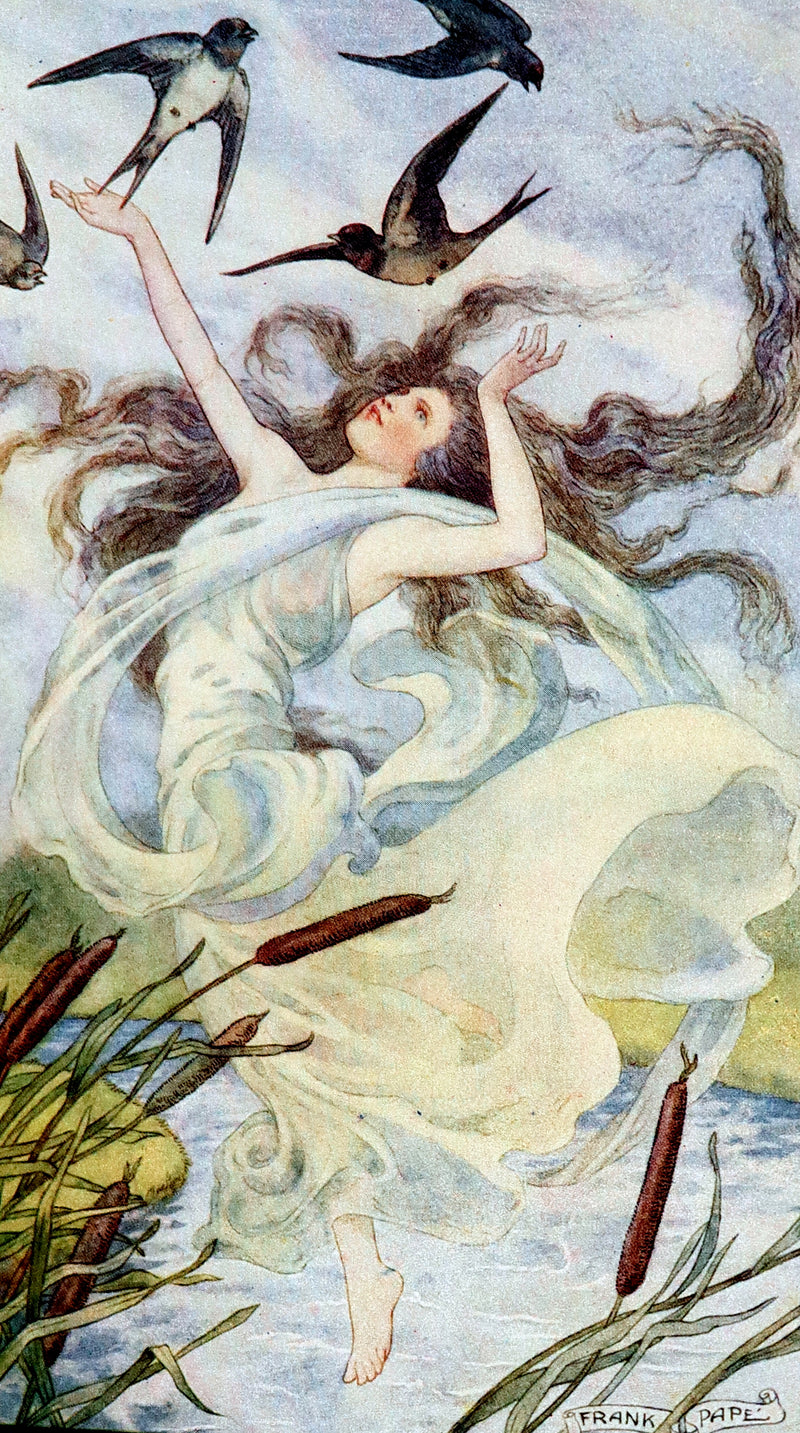 1911 Rare Book - AT THE BACK OF THE NORTH WIND by George MacDonald & Illustrated by Frank C. Pape.