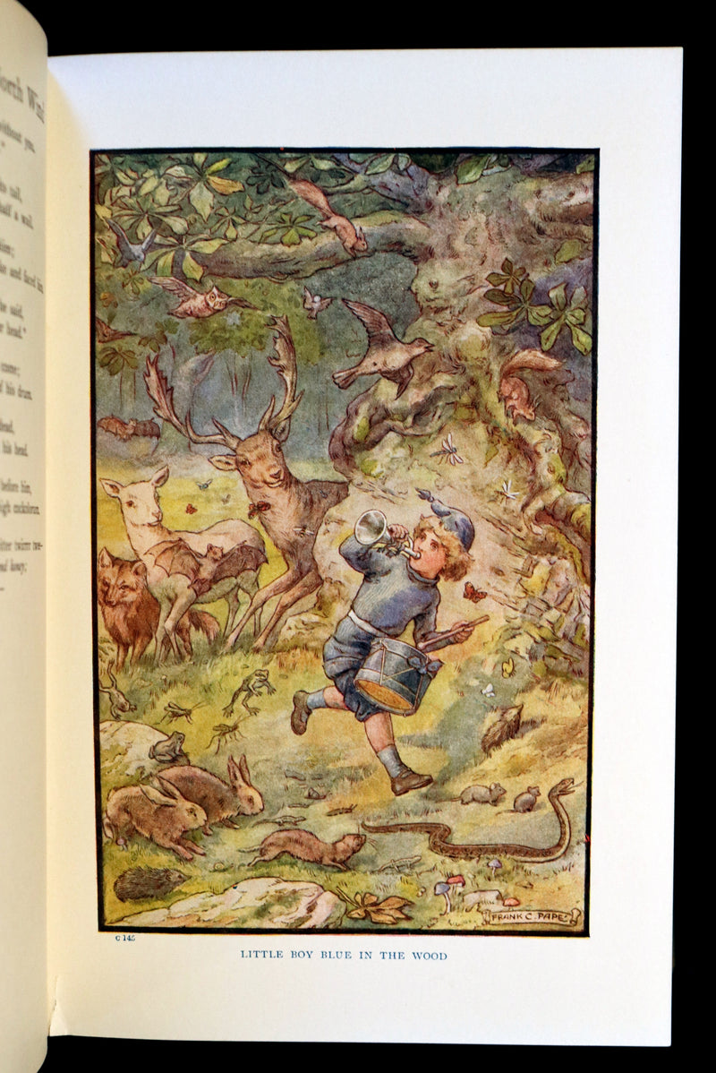 1911 Rare Book - AT THE BACK OF THE NORTH WIND by George MacDonald & Illustrated by Frank C. Pape.