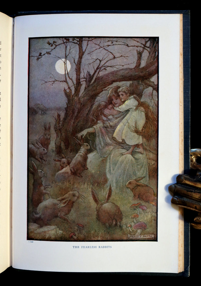 1911 Rare Book - AT THE BACK OF THE NORTH WIND by George MacDonald & Illustrated by Frank C. Pape.