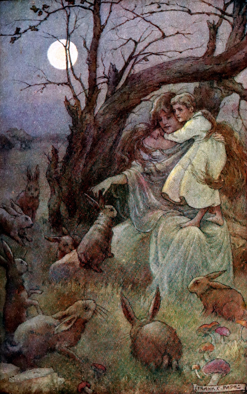 1911 Rare Book - AT THE BACK OF THE NORTH WIND by George MacDonald & Illustrated by Frank C. Pape.