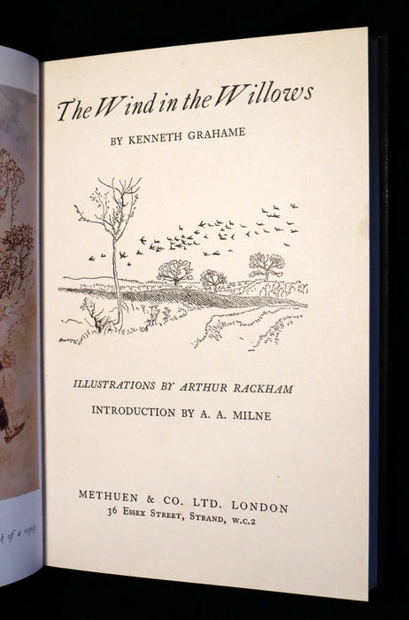 1950 Rare 1stED Book - The WIND IN THE WILLOWS illustrated by Arthur RACKHAM.