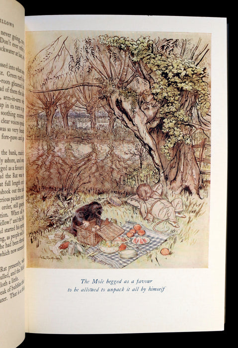 1950 Rare 1stED Book - The WIND IN THE WILLOWS illustrated by Arthur RACKHAM.