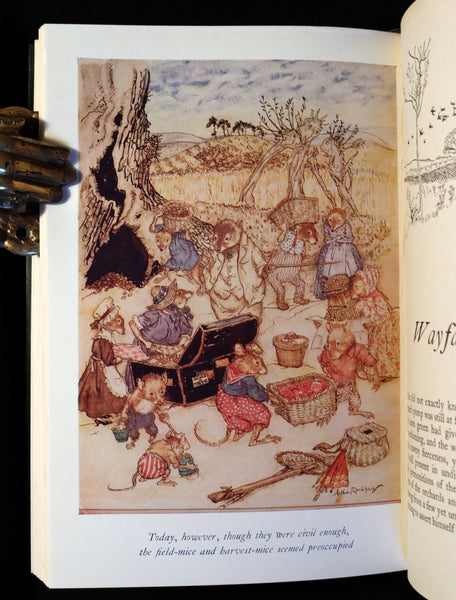 1950 Rare 1stED Book - The WIND IN THE WILLOWS illustrated by Arthur RACKHAM.