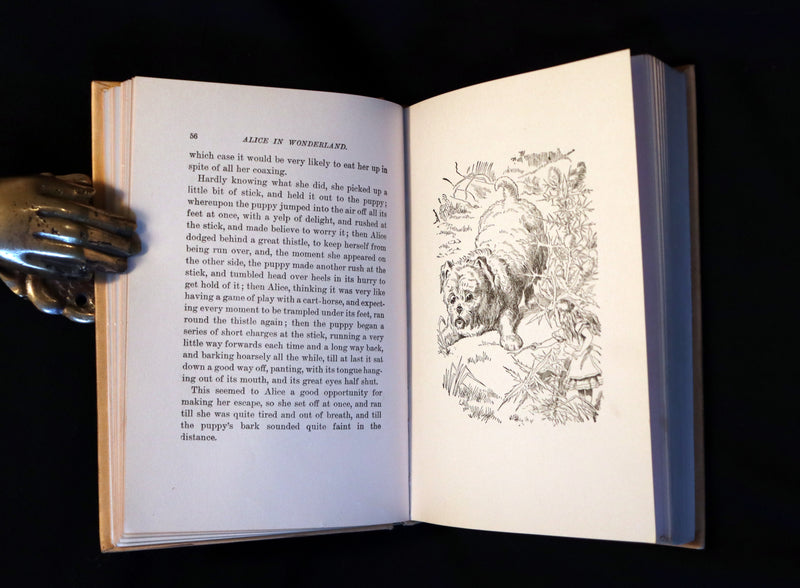 1912 Scarce McKay color Edition - Alice's Adventures in Wonderland & Through the Looking-Glass.