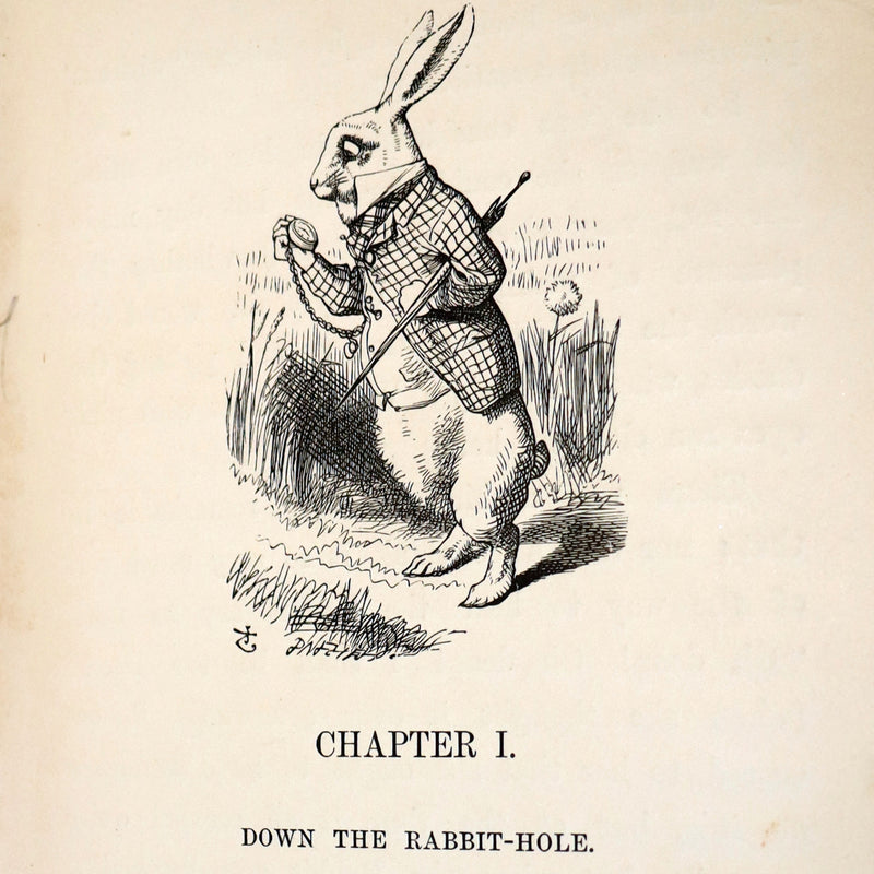 1891 Rare Victorian Book - Alice's Adventures in Wonderland by Lewis Carroll.