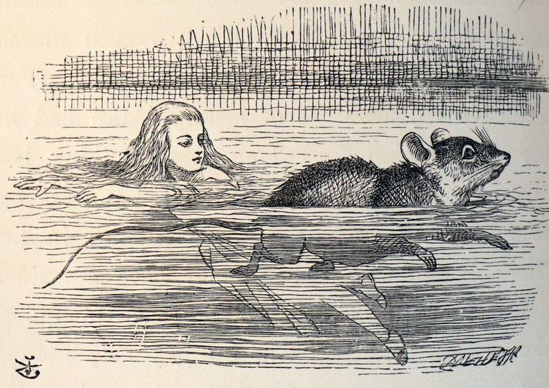 1891 Rare Victorian Book - Alice's Adventures in Wonderland by Lewis Carroll.