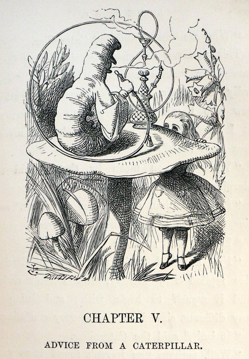 1891 Rare Victorian Book - Alice's Adventures in Wonderland by Lewis Carroll.
