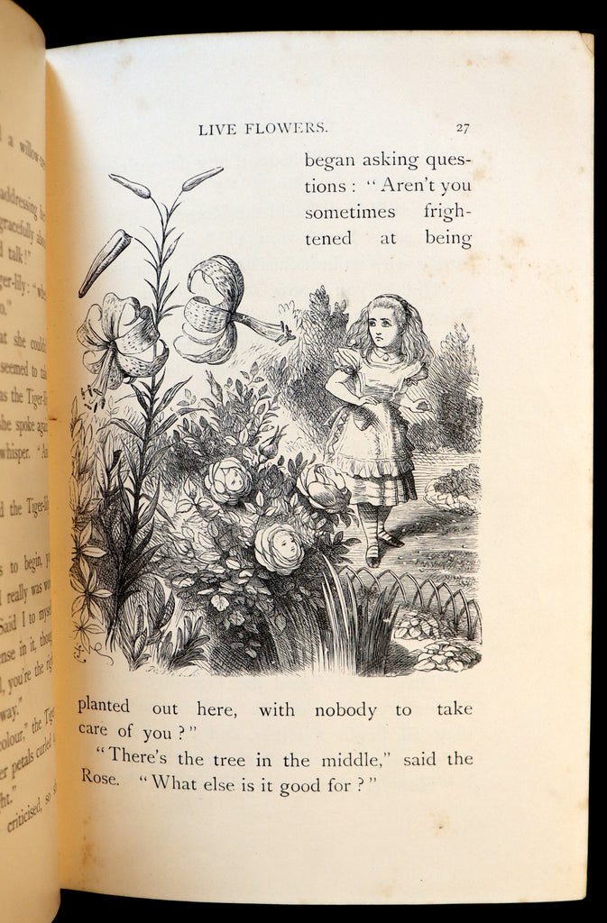 1898 Rare Victorian Book - Through the Looking Glass, and What Alice F ...