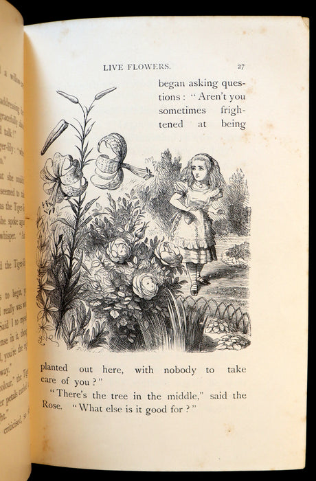 1898 Rare Victorian Book - Through the Looking Glass, and What Alice Found There by Lewis Carroll.