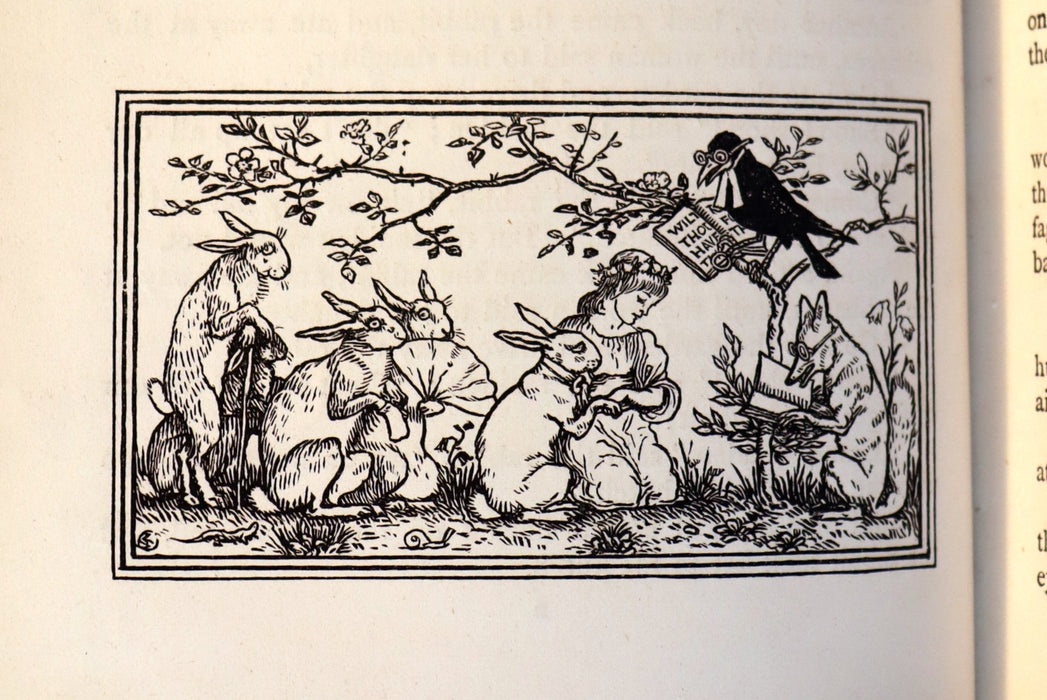 1882 Rare First Edition - Brothers Grimm's FAIRY TALES illustrated by Walter Crane.