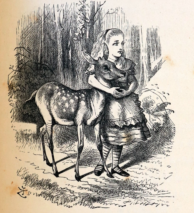 1872 Scarce 1st US Edition - Through the Looking Glass, and What Alice Found There by Lewis Carroll.