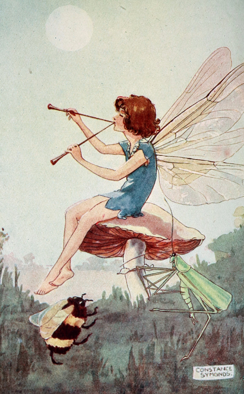 1920 Scarce Book - FAIRY REVELS - A Postcard Painting Book by Constance Symonds.