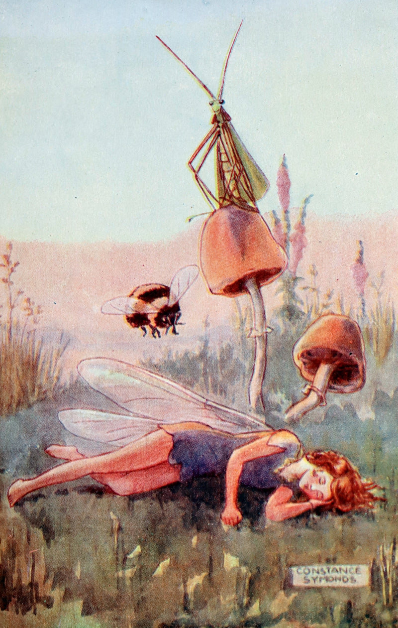 1920 Scarce Book - FAIRY REVELS - A Postcard Painting Book by Constance Symonds.