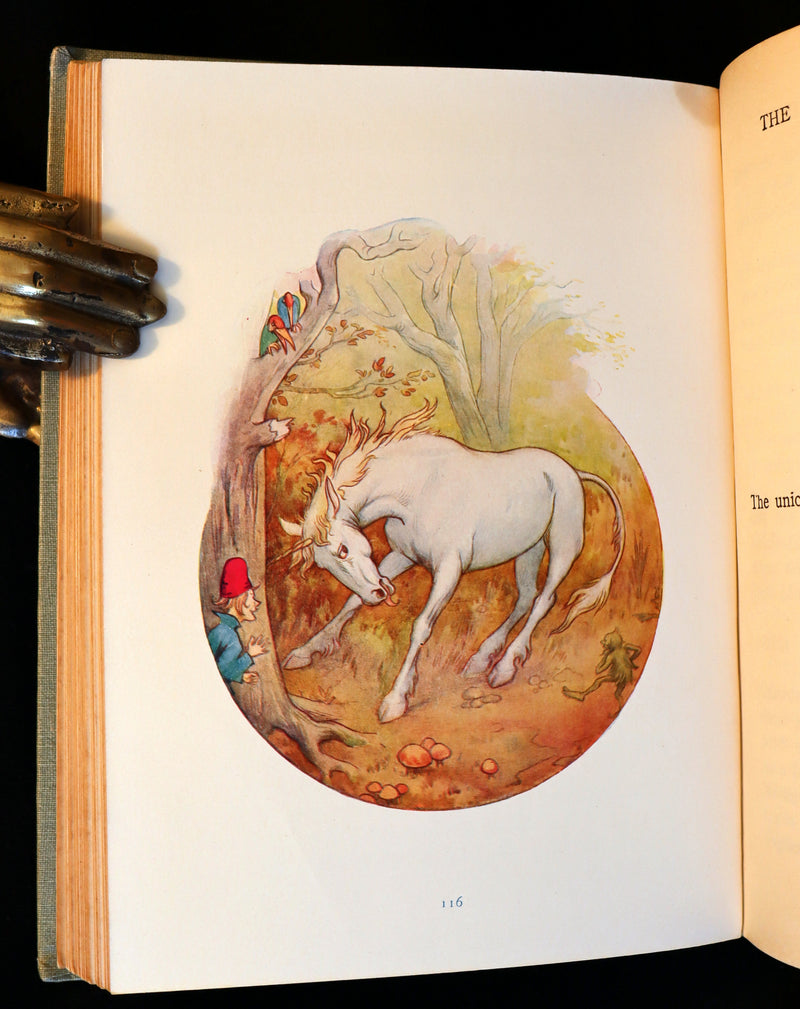 1925 Rare Book - GRIMM's FAIRY Tales with 48 Colour Plates By Harry G. Theaker.