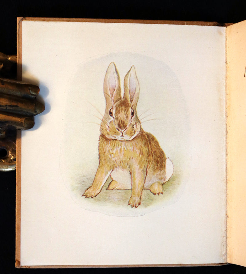 1916 Rare First Edition Book - Beatrix Potter  - The Story of A FIERCE BAD RABBIT.