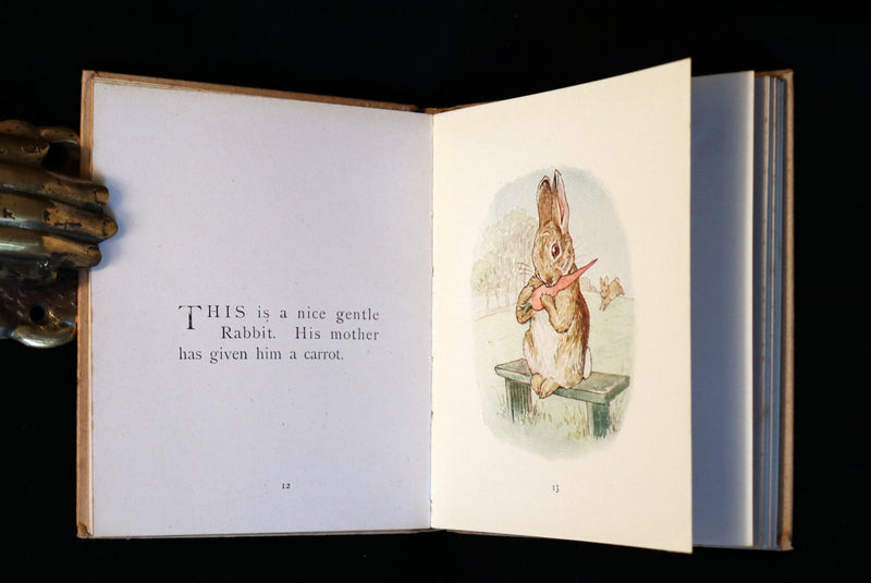 1916 Rare First Edition Book - Beatrix Potter  - The Story of A FIERCE BAD RABBIT.