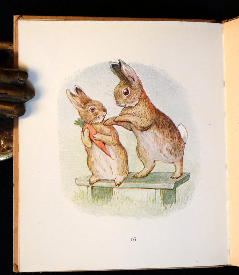 1916 Rare First Edition Book - Beatrix Potter  - The Story of A FIERCE BAD RABBIT.