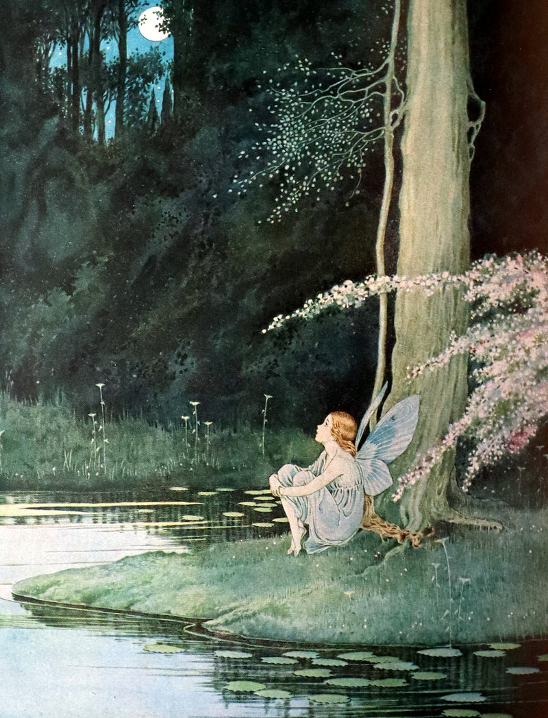 1929 Rare Color Illustrated Book ~ FAIRYLAND by Ida Rentoul Outhwaite. First US Edition.