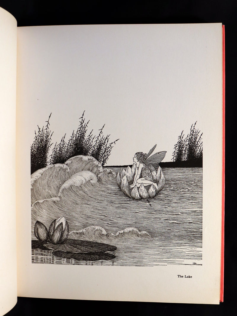 1929 Rare Color Illustrated Book ~ FAIRYLAND by Ida Rentoul Outhwaite. First US Edition.