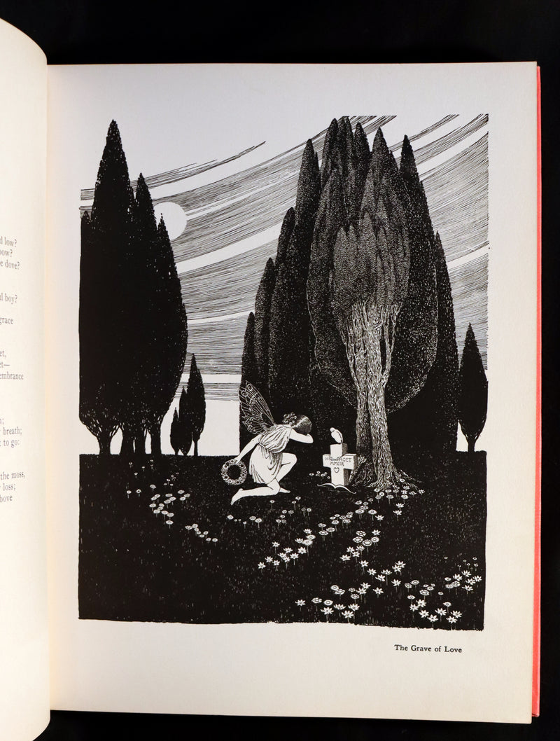 1929 Rare Color Illustrated Book ~ FAIRYLAND by Ida Rentoul Outhwaite. First US Edition.