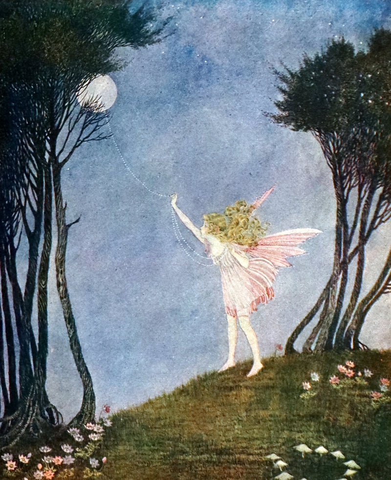 1929 Rare Color Illustrated Book ~ FAIRYLAND by Ida Rentoul Outhwaite. First US Edition.