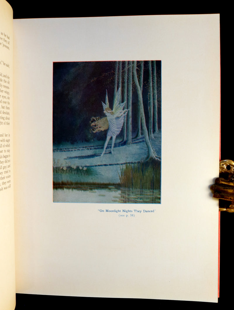 1929 Rare Color Illustrated Book ~ FAIRYLAND by Ida Rentoul Outhwaite. First US Edition.