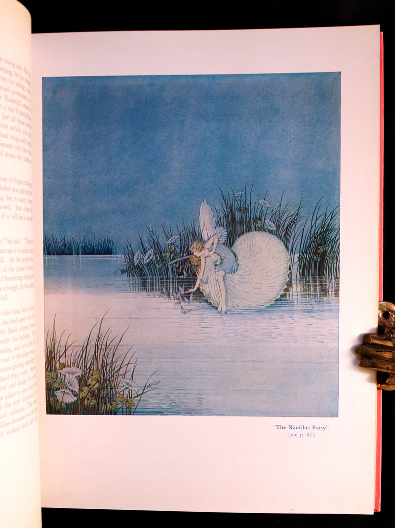 1929 Rare Color Illustrated Book ~ FAIRYLAND by Ida Rentoul Outhwaite. First US Edition.