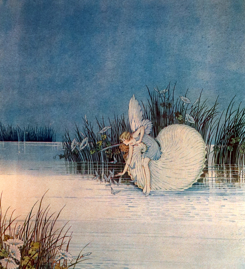 1929 Rare Color Illustrated Book ~ FAIRYLAND by Ida Rentoul Outhwaite. First US Edition.