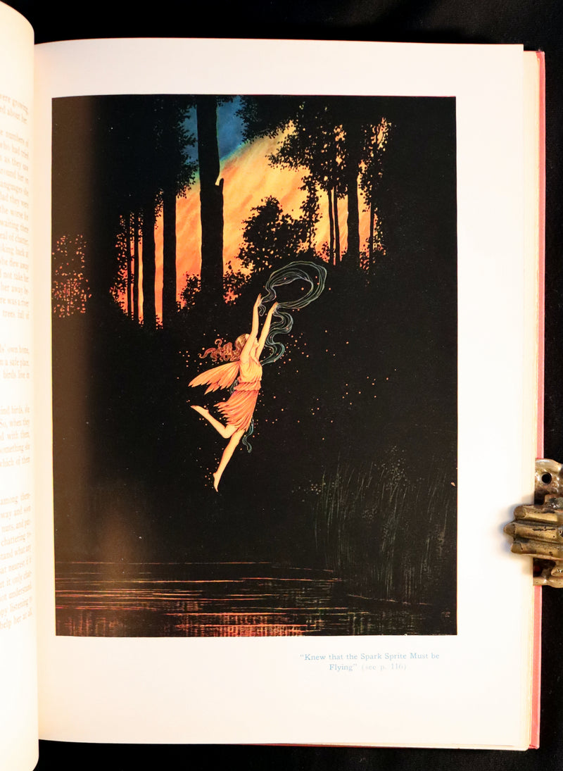 1929 Rare Color Illustrated Book ~ FAIRYLAND by Ida Rentoul Outhwaite. First US Edition.