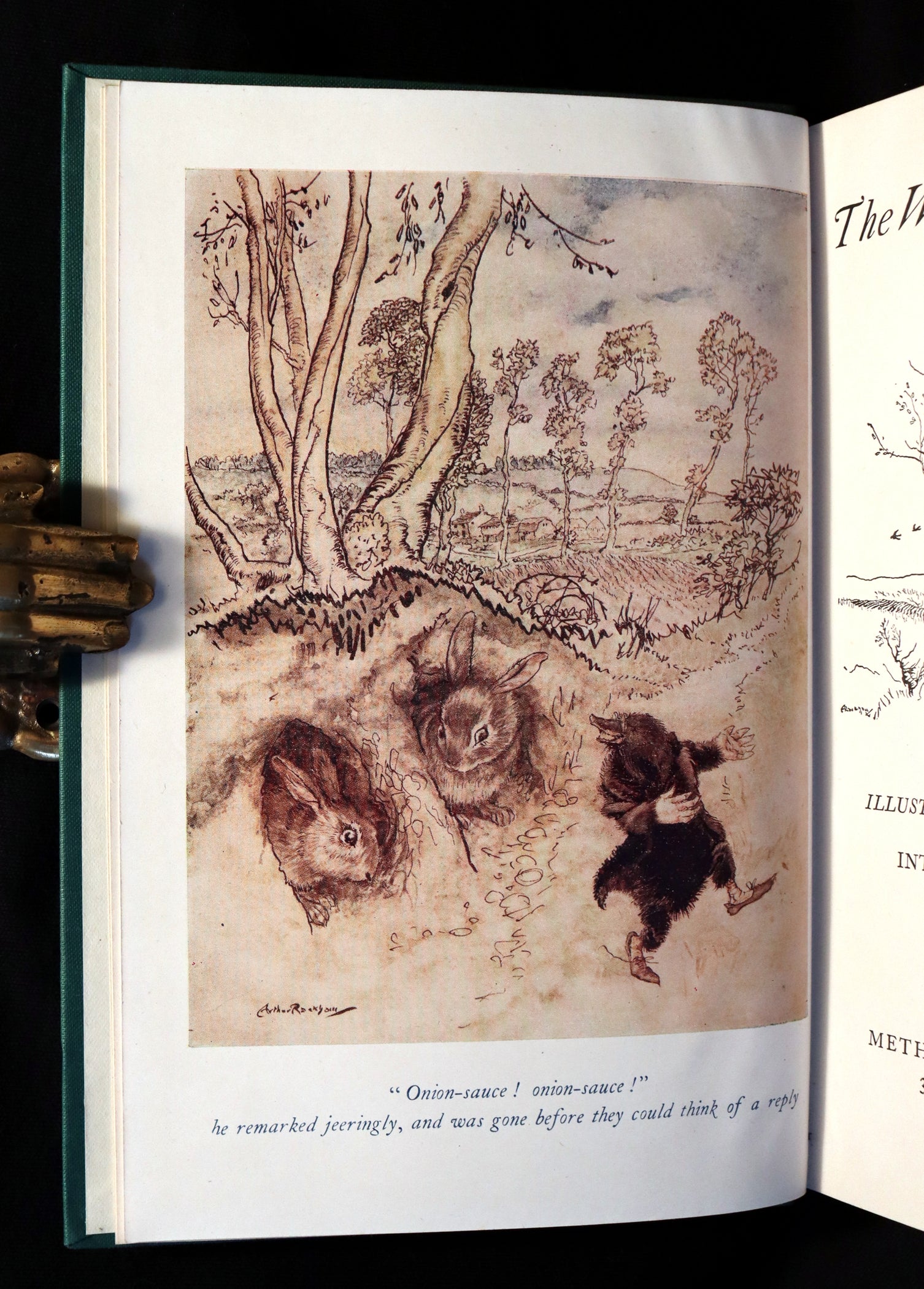 1950 Rare 1st Arthur RACKHAM Edition - The WIND IN THE WILLOWS by ...