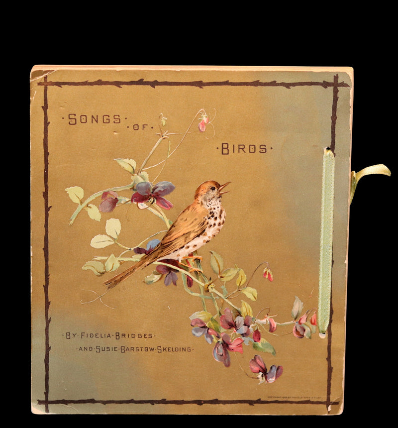 1886 Scarce Victorian Skelding Book ~ SONGS of BIRDS illustrated by Fidelia Bridges.