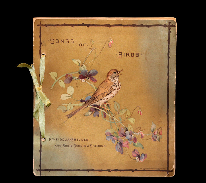 1886 Scarce Victorian Skelding Book ~ SONGS of BIRDS illustrated by Fidelia Bridges.