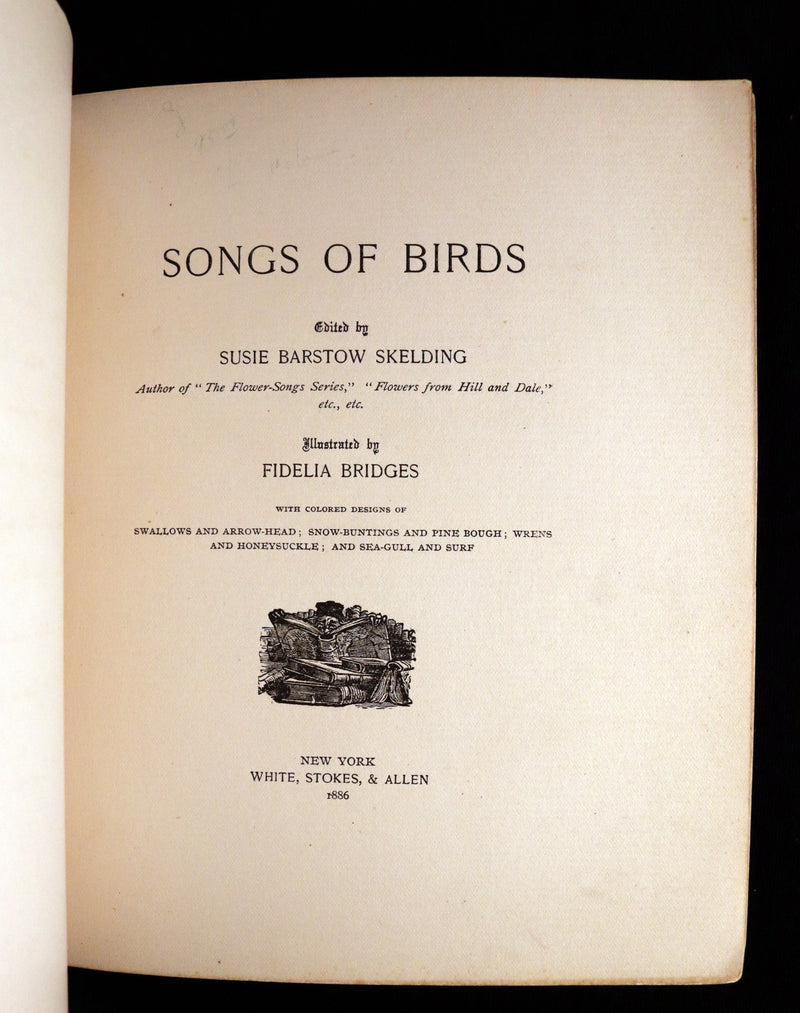 1886 Scarce Victorian Skelding Book ~ SONGS of BIRDS illustrated by Fidelia Bridges.