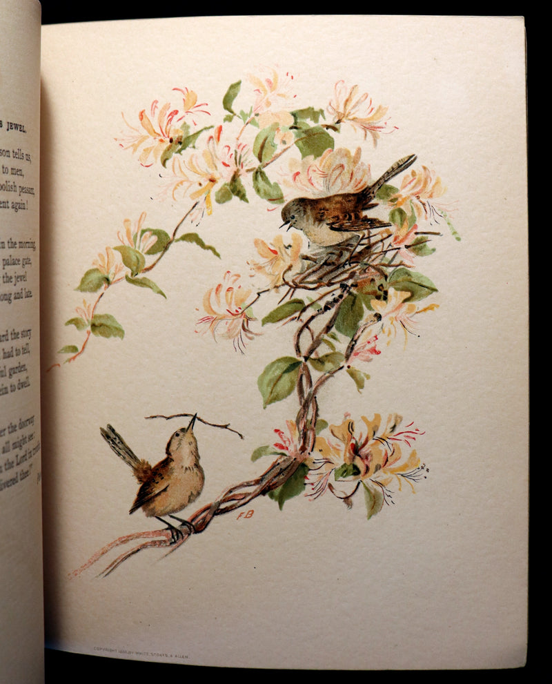 1886 Scarce Victorian Skelding Book ~ SONGS of BIRDS illustrated by Fidelia Bridges.