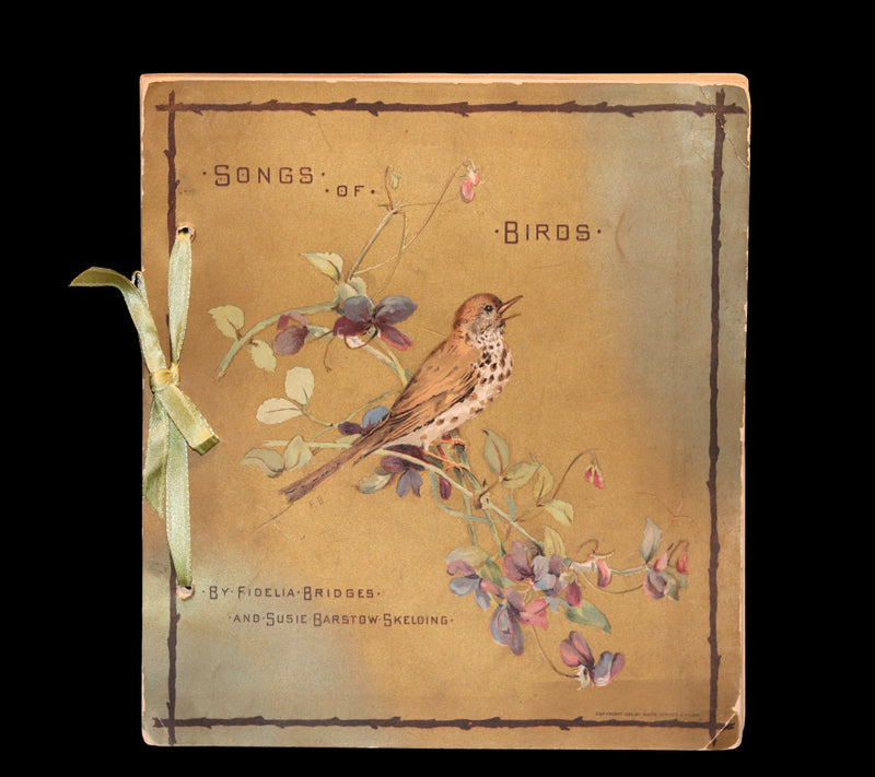 1886 Scarce Victorian Skelding Book ~ SONGS of BIRDS illustrated by Fidelia Bridges.