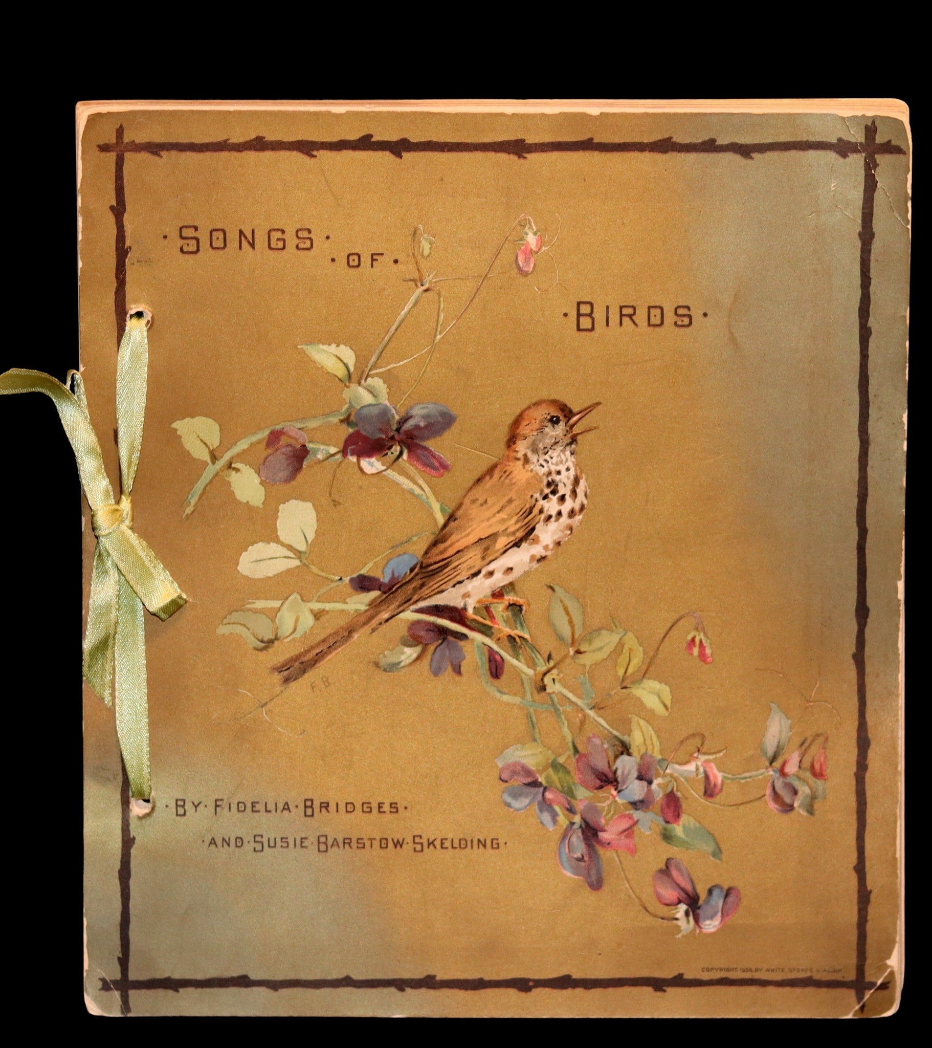 1886 Scarce Victorian Skelding Book ~ SONGS of BIRDS illustrated by Fidelia Bridges.