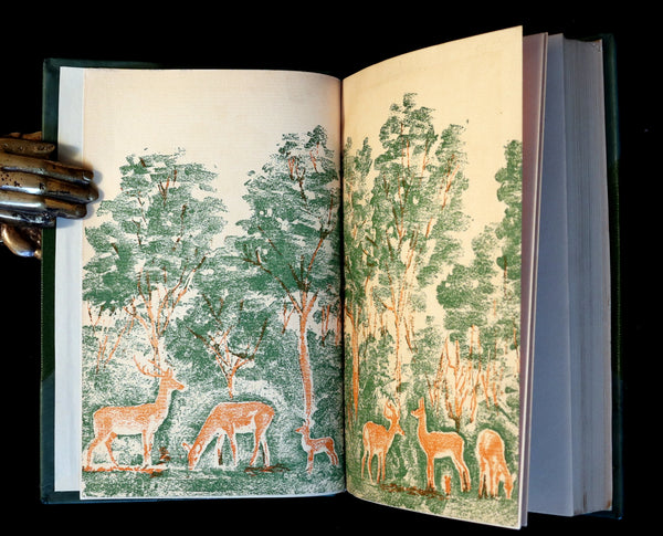 1928 Rare Book - BAMBI a Life in the Woods by Felix Salten. Nicely bound First Edition.